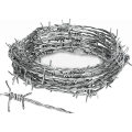 Low Price Concertina Spiral Cheap Razor Barbed Wire